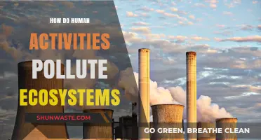 Human Activities: Polluting Our Ecosystems