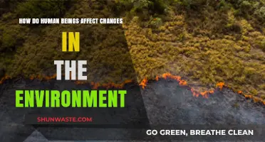 Human Impact: Driving Environmental Changes and Shaping Our Planet's Future