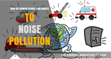 Human Activities and Noise Pollution