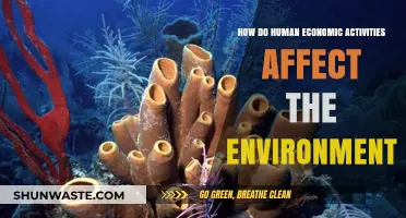 Human Economic Activities: Environmental Impacts and Sustainable Solutions
