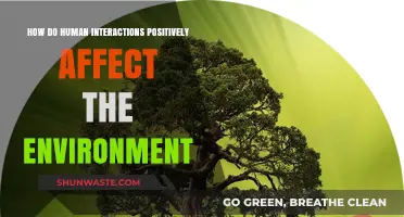 Human Connections: How Social Bonds Foster Environmental Sustainability and Care