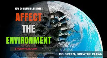 Human Habits, Environmental Impact: Unraveling Our Daily Choices' Ecological Footprint