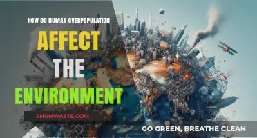 Overpopulation's Impact: How Human Growth Strains Our Fragile Environment