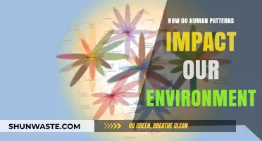 Human Habits, Environmental Impact: Unraveling Our Ecological Footprint
