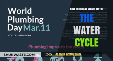 Human Waste's Impact: Disrupting the Natural Water Cycle Explained