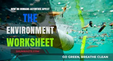 Human Activities and Their Impact: Exploring Environmental Consequences Worksheet