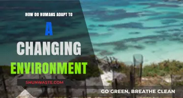 Human Resilience: Adapting to Environmental Changes and Thriving in Uncertainty
