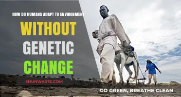 Human Resilience: Adapting to Environments Through Non-Genetic Strategies