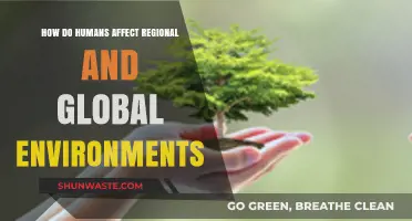 Human Impact: Shaping Regional and Global Environments Through Actions and Choices