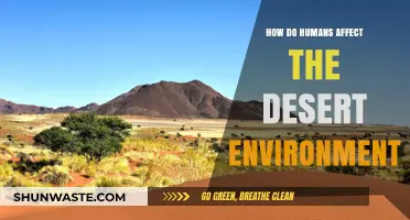 Human Impact on Deserts: Shaping Fragile Ecosystems and Landscapes