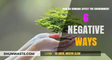 Human Impact: 6 Devastating Ways We Harm Our Environment