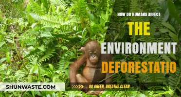 Human Impact on Nature: Deforestation's Devastating Environmental Consequences Explained