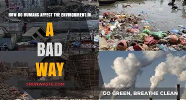 Human Impact: Destructive Ways We Harm Our Environment Daily