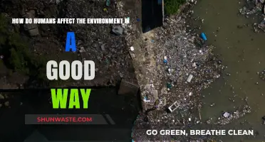 Positive Human Impact: Sustainable Practices Shaping a Greener Environment