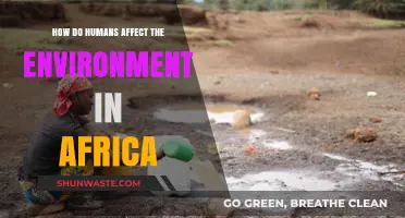 Human Impact on Africa's Environment: Causes, Consequences, and Solutions