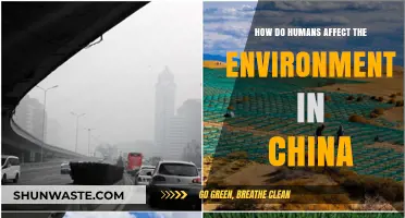 Human Impact on China's Environment: Causes, Consequences, and Solutions
