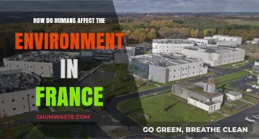 Human Impact on France's Environment: Causes, Effects, and Solutions