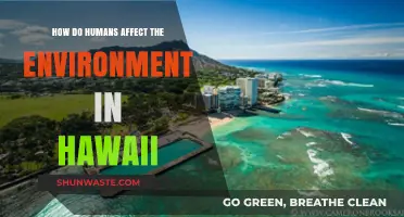 Human Impact on Hawaii's Environment: Causes, Effects, and Solutions