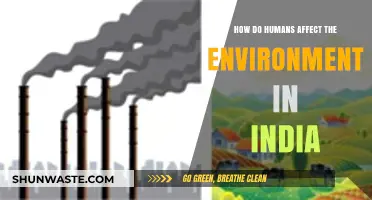 Human Impact on India's Environment: Causes, Consequences, and Solutions