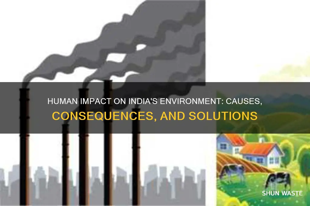 how do humans affect the environment in india