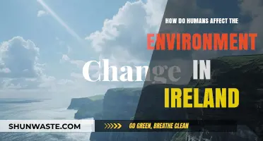 Human Impact on Ireland's Environment: Causes, Effects, and Solutions