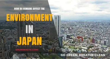 Human Impact on Japan's Environment: Causes, Effects, and Solutions