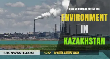 Human Impact on Kazakhstan's Environment: Causes, Effects, and Solutions