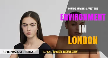 London's Environmental Impact: Human Activities and Their Ecological Consequences