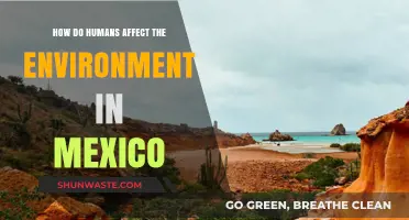 Human Impact on Mexico's Environment: Causes, Effects, and Solutions