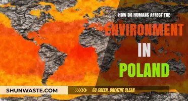Human Impact on Poland's Environment: Causes, Effects, and Solutions