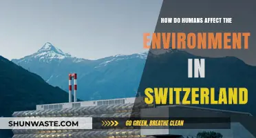 Human Impact on Switzerland's Environment: Causes, Effects, and Solutions