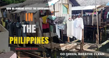 Human Impact on the Philippines' Environment: Causes and Consequences