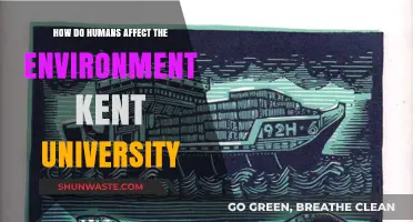 Human Impact on the Environment: Insights from Kent University Research