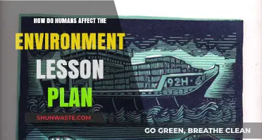 Human Impact on Environment: Engaging Lesson Plan for Awareness