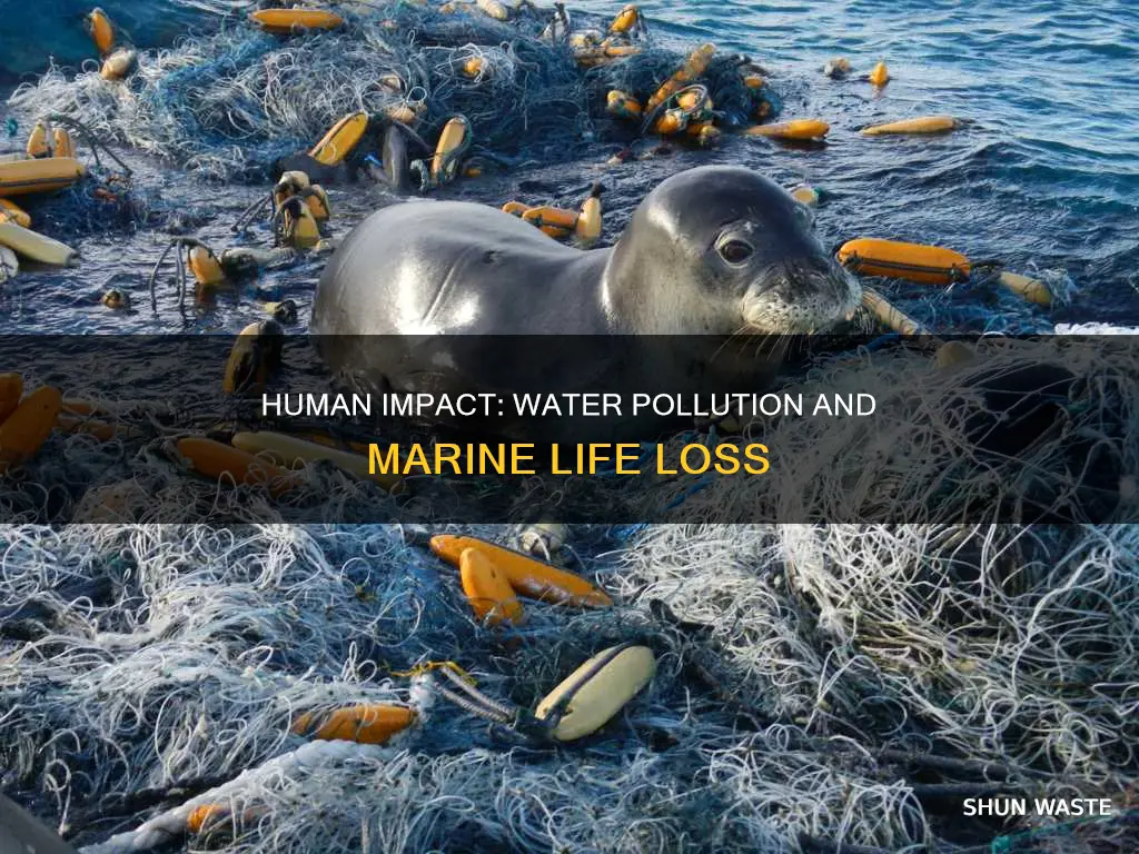 how do humans affect water pollution and marine life dying