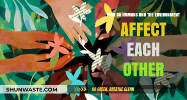 Human-Environment Interdependence: Impacts, Challenges, and Sustainable Solutions Explored