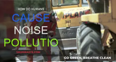 Human-Induced Noise Pollution: Sources and Solutions