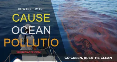 Human Impact: Unraveling the Sources of Ocean Pollution