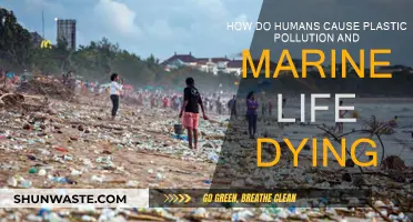 Human-Induced Plastic Crisis: Marine Life's Plight