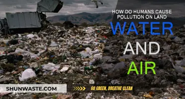 Human Impact: Land, Water, Air Pollution Explained