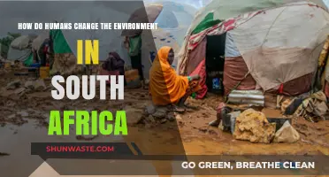 Human Impact on South Africa's Environment: Causes and Consequences