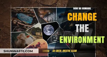 Human Impact: Transforming Ecosystems and Shaping Our Planet's Future