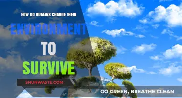 Human Adaptation: Transforming Environments for Survival and Sustainability