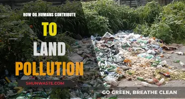 Human Impact: Land Pollution Sources