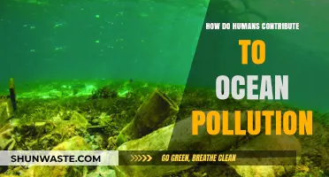 Human Impact: Ocean Pollution Sources