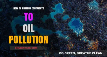 Human Impact: Oil Pollution Sources