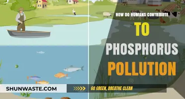 Human Activities and Phosphorus Pollution