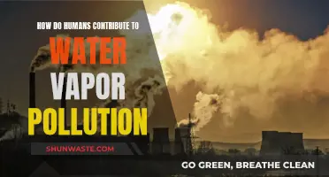 Human Impact: Unveiling Water Vapor Pollution's Hidden Sources