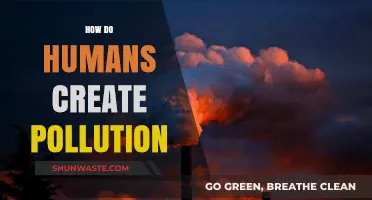Human Activities: A Source of Pollution