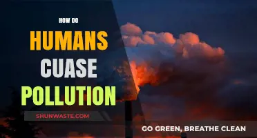 Human Activities: A Major Source of Pollution